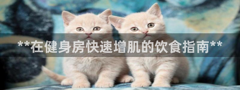 意昂2代理
