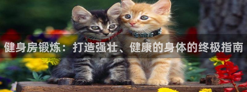 意昂2官网