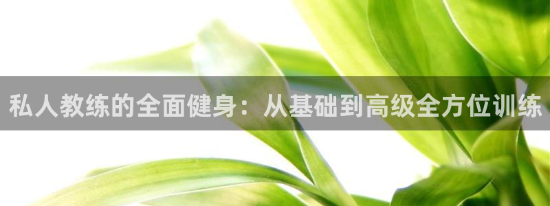 意昂2官方平台