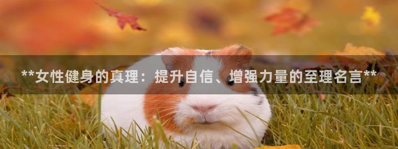 意昂2娱乐