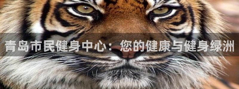 意昂2代理