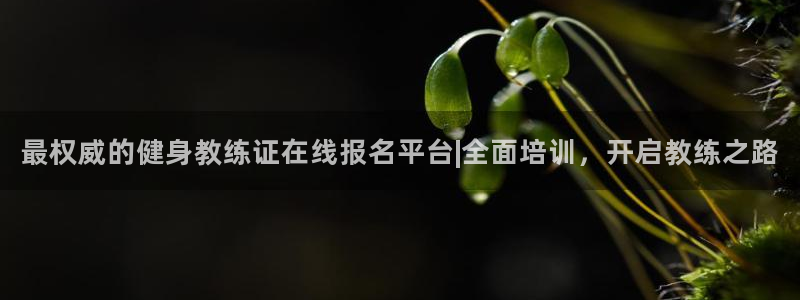 意昂2平台
